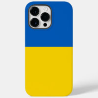 Ukraine flag