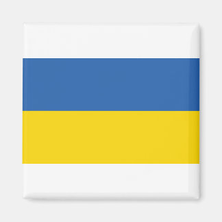 UKRAINE-FLAG MAGNET