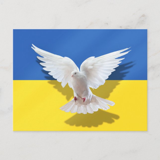 Ukraine Flag Postcard Peace Dove - Freedom (Front)