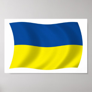 Ukraine Flag Poster Print