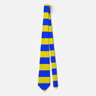 Ukraine Flag  Tie