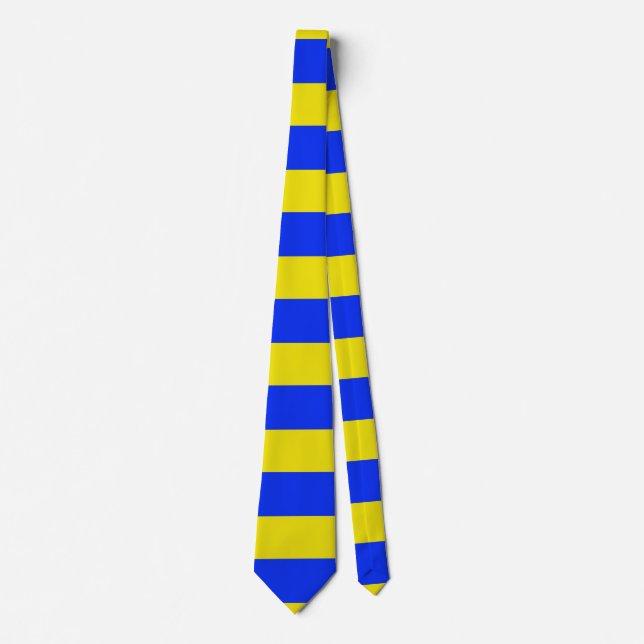 Ukraine Flag  Tie (Front)