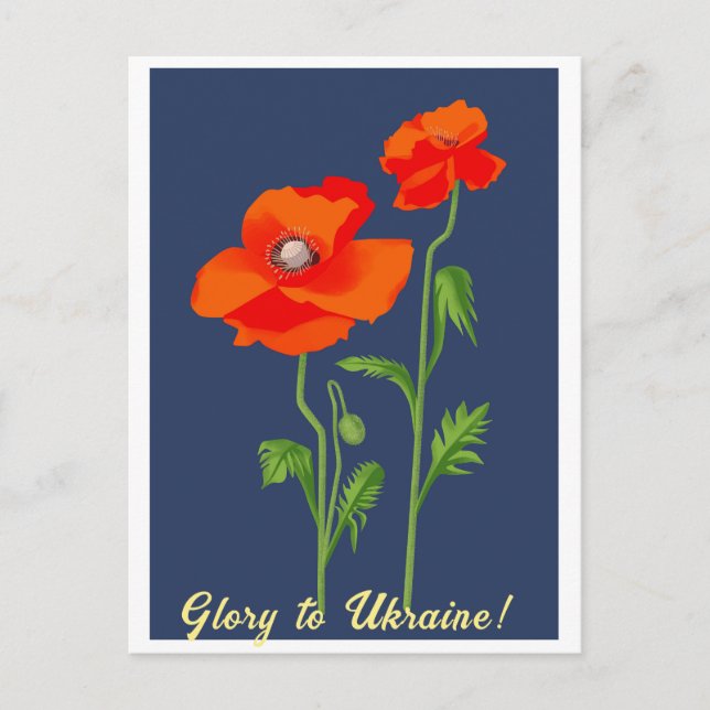 Ukraine "poppy flower" peace colourful postcard (Front)