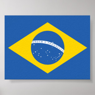Ukraine Ukrainian Brazil Brazilian Flag Poster