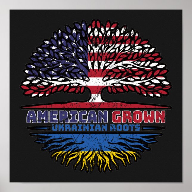 Ukraine Ukrainian US American USA United States Poster (Front)