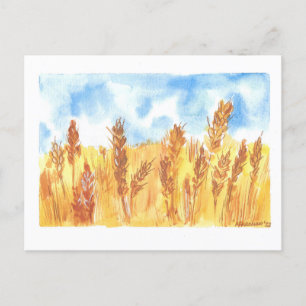 Ukraine Wheat Field original Watercolor drawing Postcard