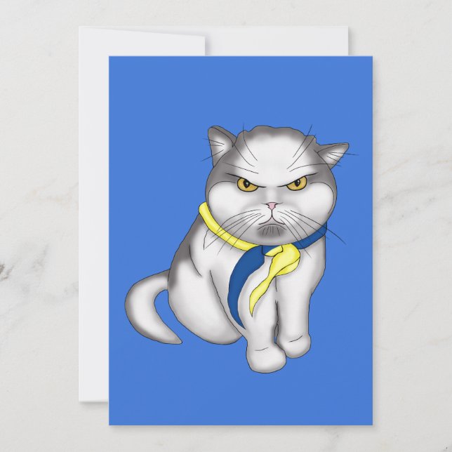 Ukrainian cat invitation (Front)