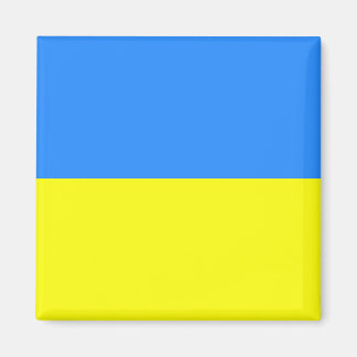 Ukrainian Flag Magnet