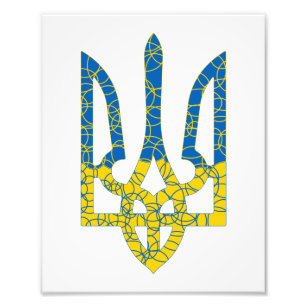 Ukrainian trident textured flag of Ukraine colours Photo Print