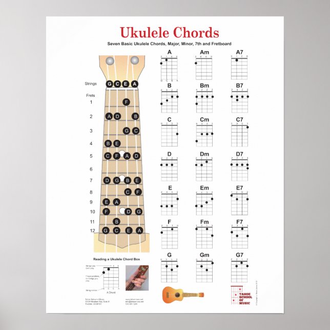 Ukulele Chords Finger Charts, Fretboard with Notes Poster (Front)