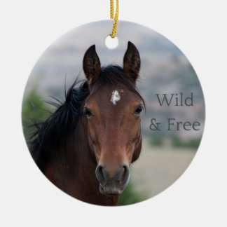Ula: Pryor Mountain Wild Mustang Ceramic Ornament