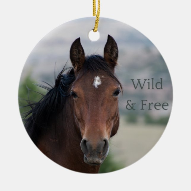 Ula: Pryor Mountain Wild Mustang Ceramic Ornament (Front)