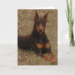 Ultimate Guard dog Card