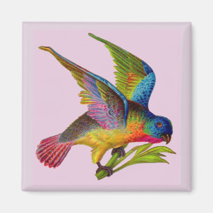 ultra colourful Victorian bird print Magnet