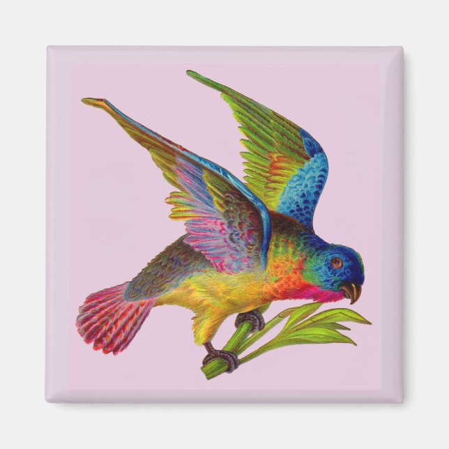 ultra colourful Victorian bird print Magnet (Front)