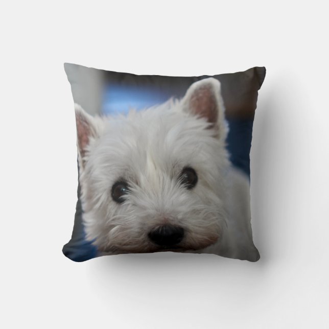 Ultra Cute Pestie Westie White Terrier Cushion (Front)