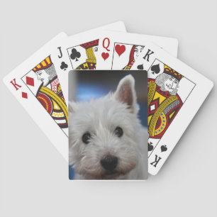 Ultra Cute Pestie Westie White Terrier Playing Cards