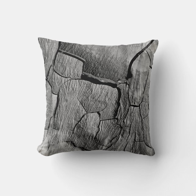 Ultra-Dry Desert Cracked Landscape Cushion (Front)