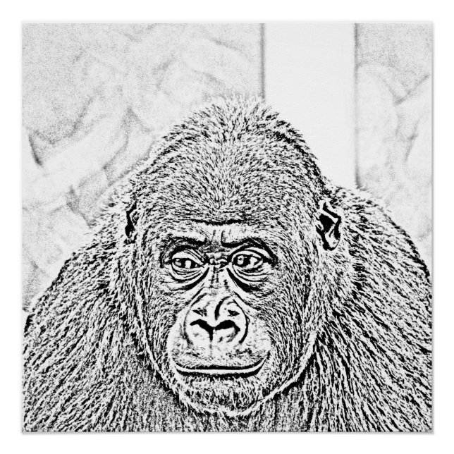 ultra sketch gorilla poster (Front)