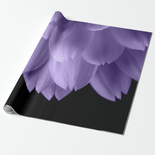 Ultra violet purple flower petals black wrapping paper (Unrolled)