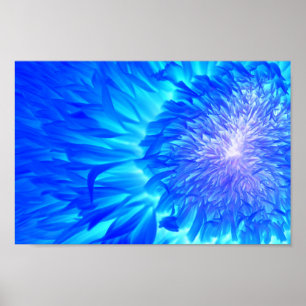 Ultraviolet Dahlia by Prairie Pics Poster
