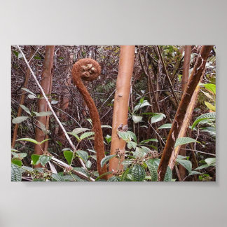 ULUHE FERN POSTER