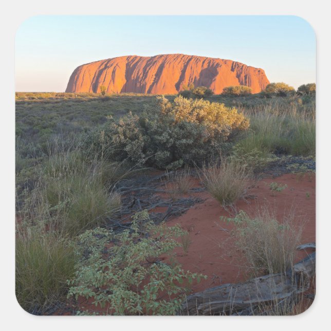 Uluru Sunrise and Desert Flora Square Sticker (Front)