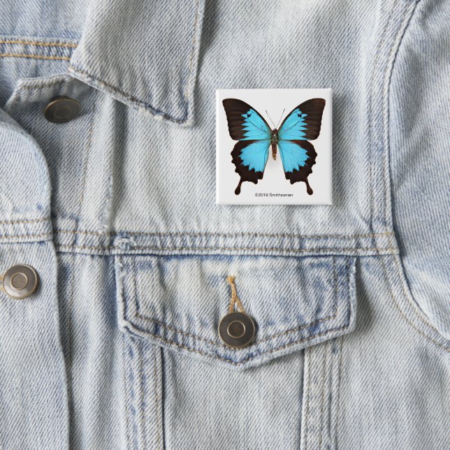 Ulysses Butterfly 15 Cm Square Badge (In Situ)
