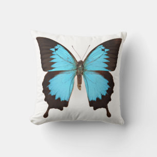 Ulysses Butterfly Cushion