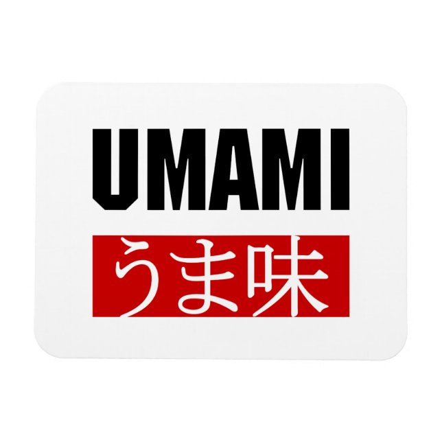 UMAMI うま味 MAGNET (Horizontal)
