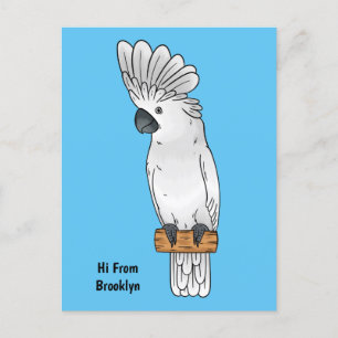 Umbrella cockatoo bird cartoon illustration postcard