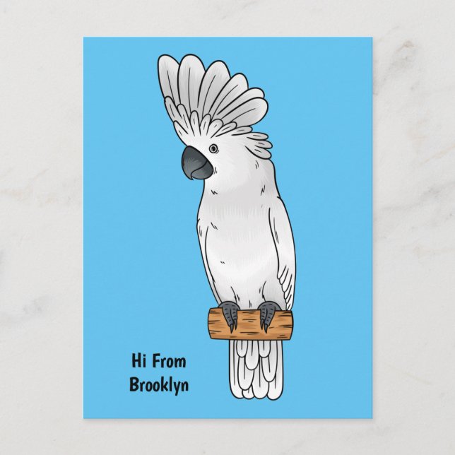 Umbrella cockatoo bird cartoon illustration postcard (Front)