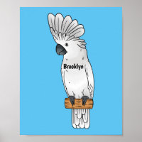 Umbrella cockatoo bird cartoon illustration