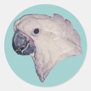 Umbrella Cockatoo Classic Round Sticker
