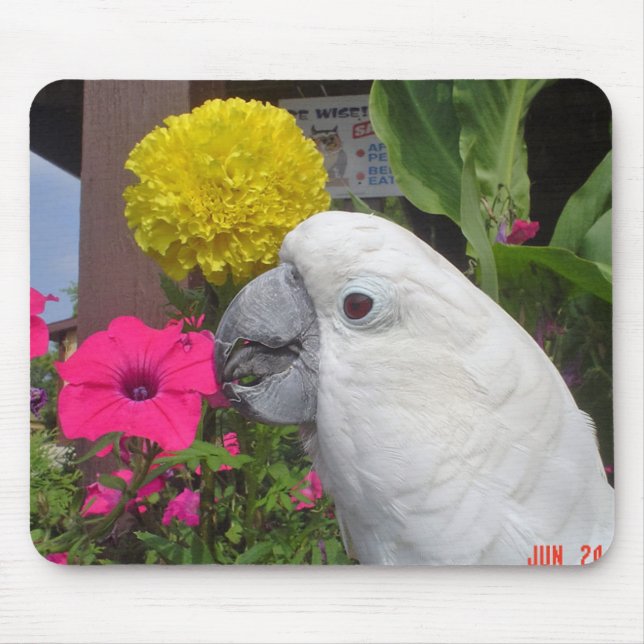 Umbrella Cockatoo Mousepad (Front)