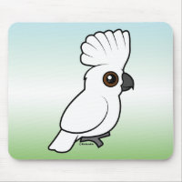 Umbrella Cockatoo (raised)