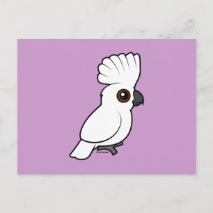 Umbrella Cockatoo (raised) Postcard