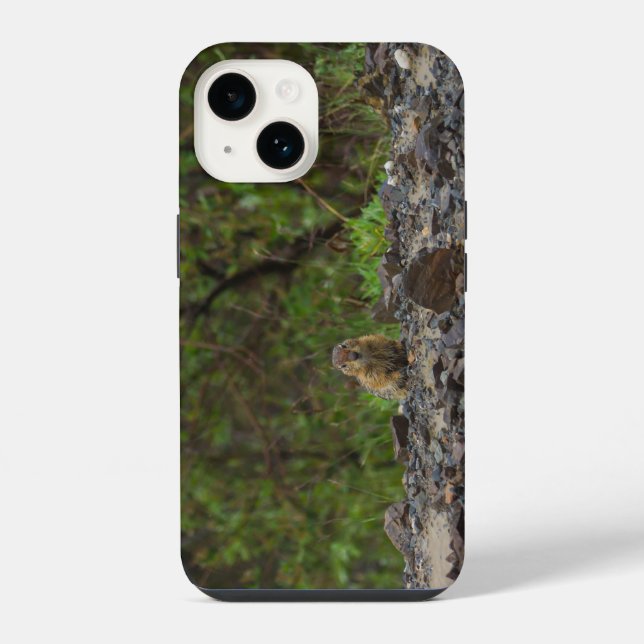 Umbrella Please iPhone Case (Back)