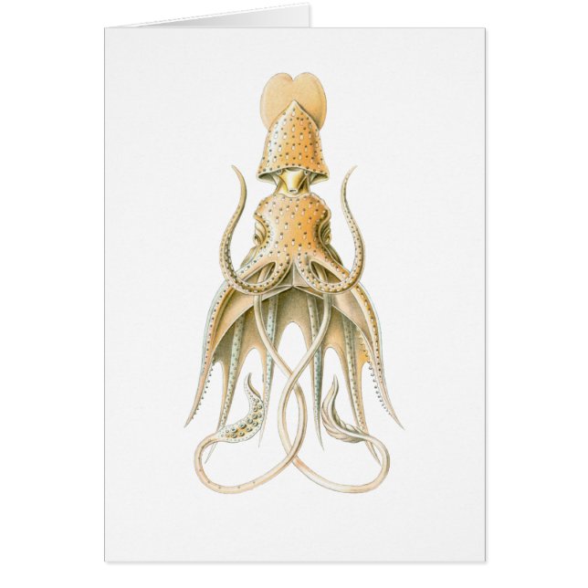 Umbrella Squid (Front)