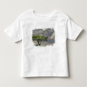 Umbrella Thorn Acacia, Acacia tortilis, and 2 Toddler T-Shirt
