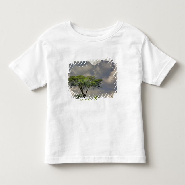 Umbrella Thorn Acacia, Acacia tortilis, and 2 Toddler T-Shirt (Front)
