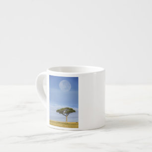 Umbrella Thorn Acacia, Acacia tortilis, and Espresso Cup