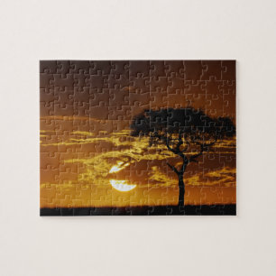 Umbrella Thorn Acacia, Acacia tortilis, Jigsaw Puzzle