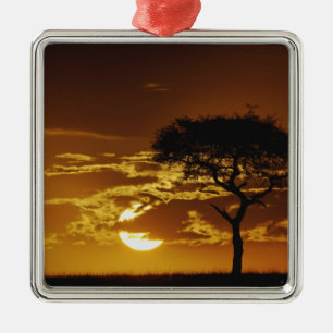 Umbrella Thorn Acacia, Acacia tortilis, Metal Tree Decoration