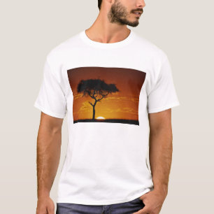 Umbrella Thorn Acacia, Acacia tortilis, T-Shirt