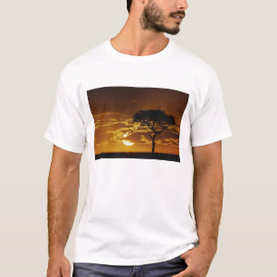 Umbrella Thorn Acacia, Acacia tortilis, T-Shirt