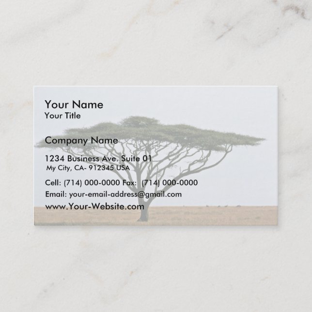 Umbrella Thorn Acacia Tree Business Card (Front)