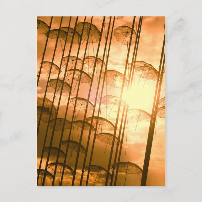 umbrellas postcard (Front)