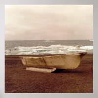 Umiak Walrus Skin Whalers Boat Photo Designed