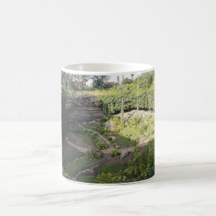 Umpherston Sinkhole Hidden Sanctuary Coffee Mug